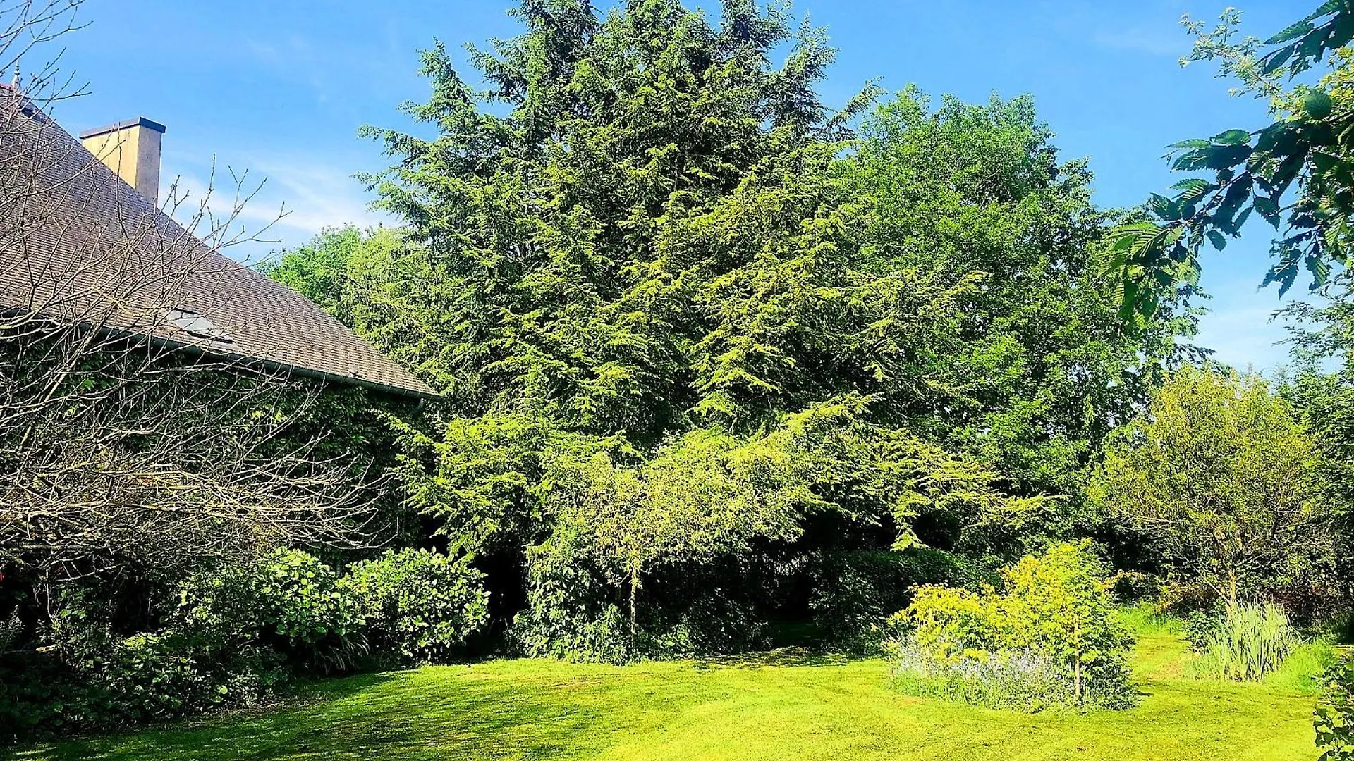 Guest house Manoir De La Haute Couplais Romille