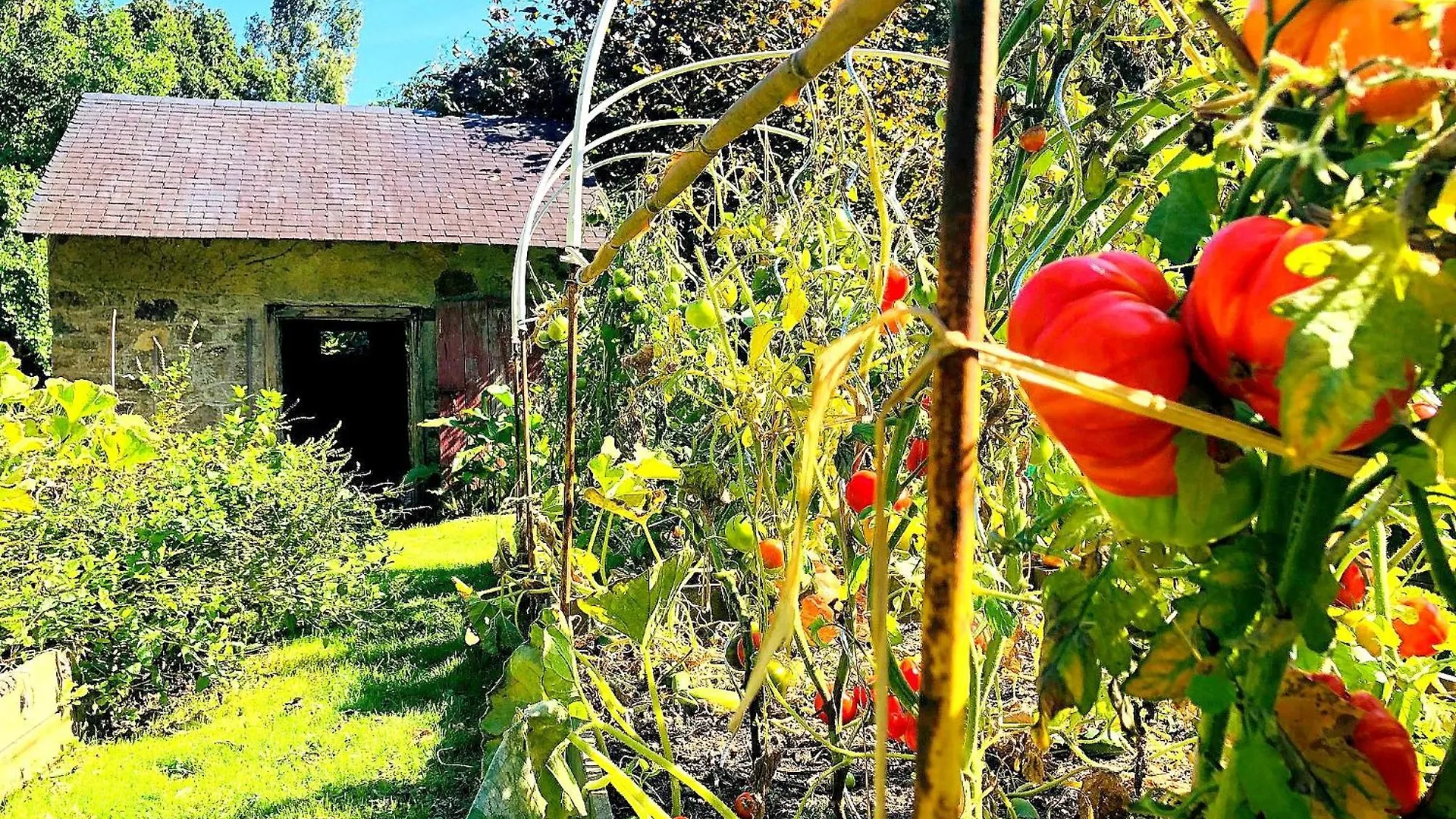 Guest house Manoir De La Haute Couplais Romille